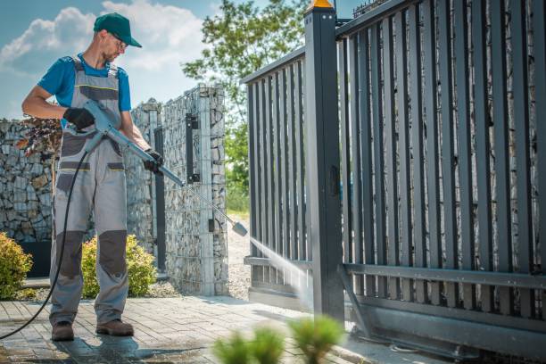 Best Patio and Deck Pressure Washing  in Bellview, FL